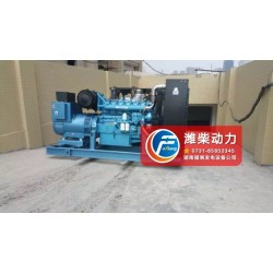 專業(yè)的濰柴動(dòng)力博杜安發(fā)電機(jī)組廠家推*——好的濰柴動(dòng)力